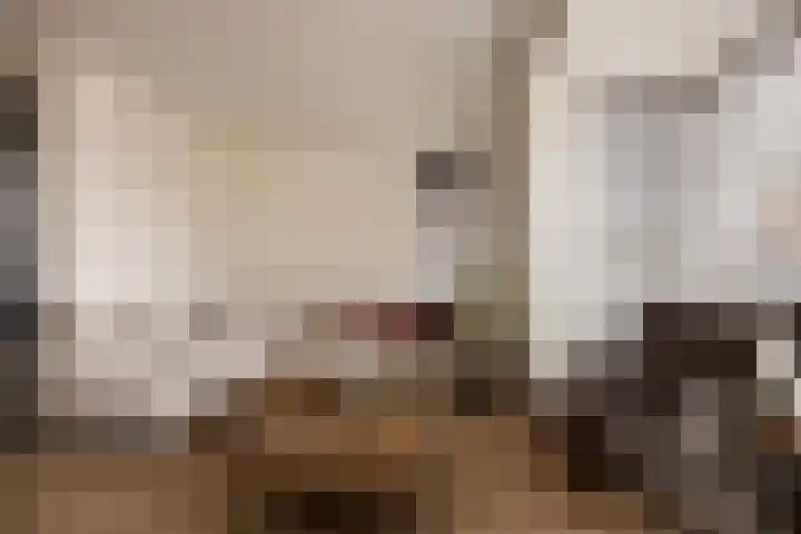Lakenvelder 20 Hapert thumbnail 10