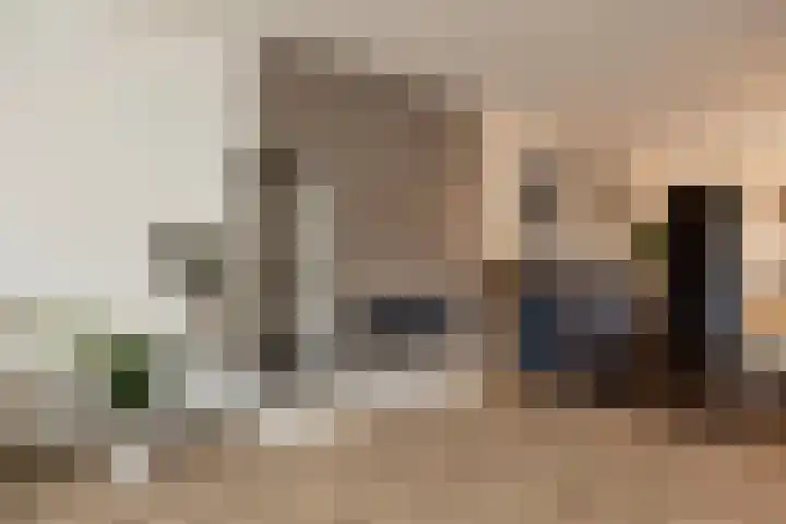 Lakenvelder 20 Hapert thumbnail 13