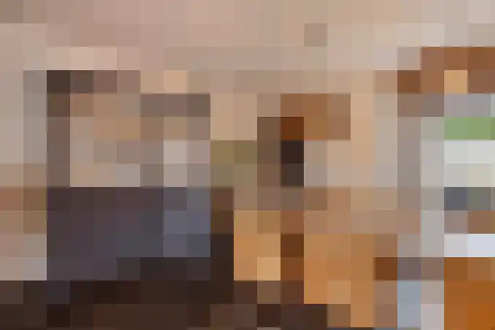 Lakenvelder 20 Hapert thumbnail 16