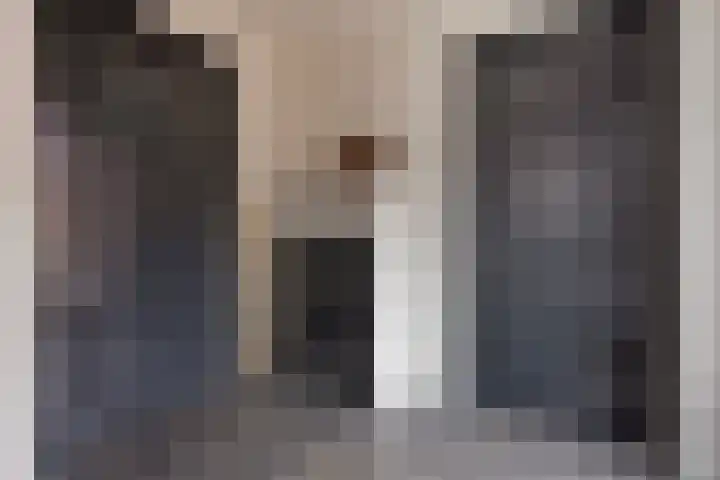 Lakenvelder 20 Hapert thumbnail 19
