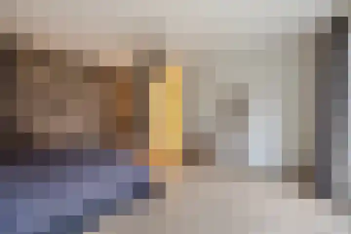 Lakenvelder 20 Hapert thumbnail 21