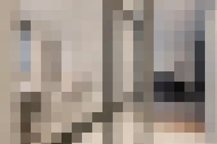 Lakenvelder 20 Hapert thumbnail 25