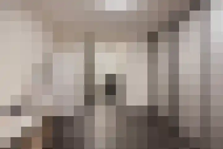 Lakenvelder 20 Hapert thumbnail 30