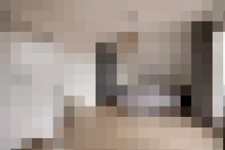 Lakenvelder 20 Hapert thumbnail 34