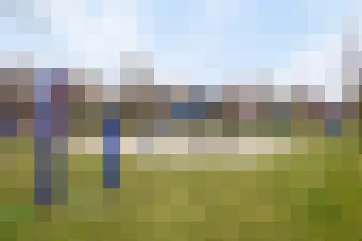 Lakenvelder 20 Hapert thumbnail 44
