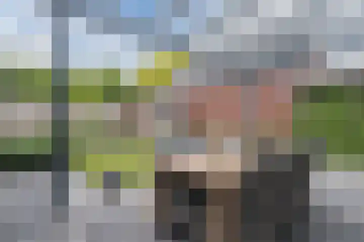 Lakenvelder 20 Hapert thumbnail 46