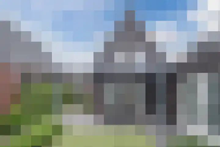 Lakenvelder 20 Hapert thumbnail 48
