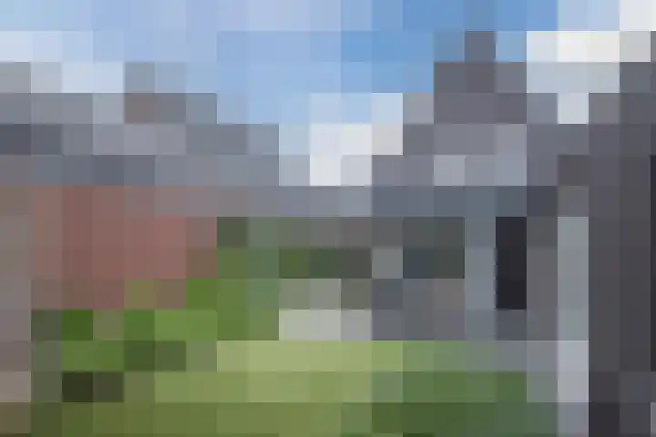 Lakenvelder 20 Hapert thumbnail 49