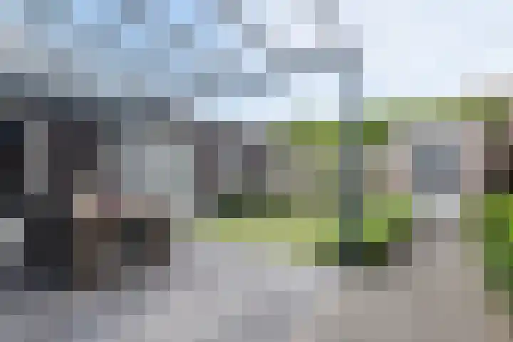 Lakenvelder 20 Hapert thumbnail 5