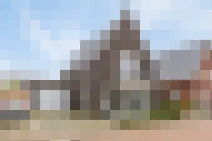 Lakenvelder 20 Hapert thumbnail 6