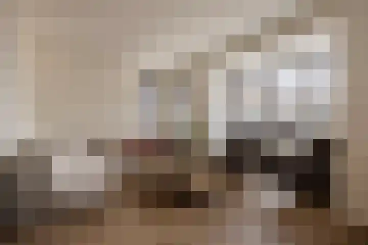 Lakenvelder 20 Hapert thumbnail 9