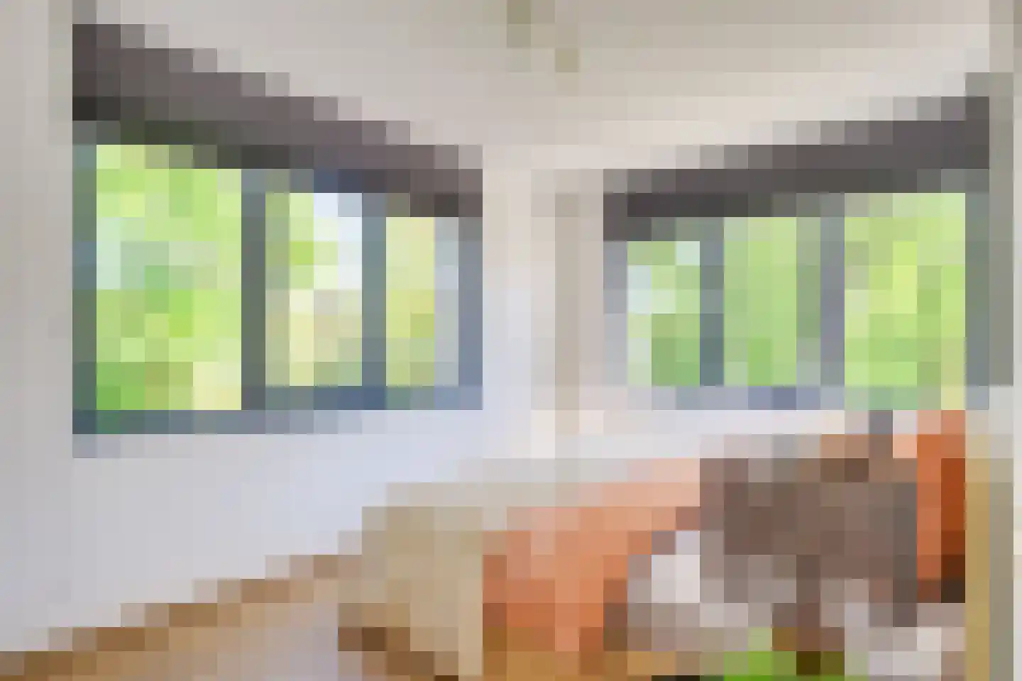 Lakenvelder 3 Veldhoven thumbnail 22