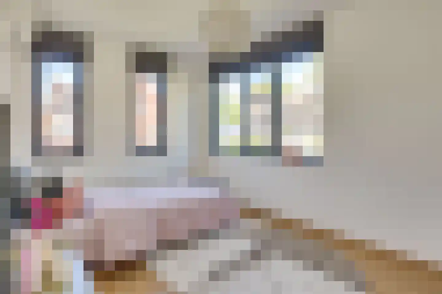 Lakenvelder 3 Veldhoven thumbnail 32