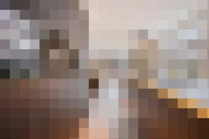 Lakenvelderpad 19 Teteringen thumbnail 15