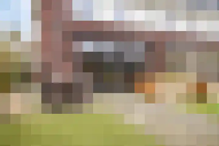 Lakenvelderpad 19 Teteringen thumbnail 21