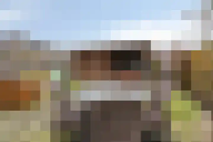 Lakenvelderpad 19 Teteringen thumbnail 25