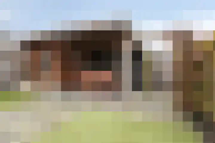 Lakenvelderpad 19 Teteringen thumbnail 26