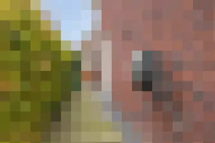 Lakenvelderpad 19 Teteringen thumbnail 28