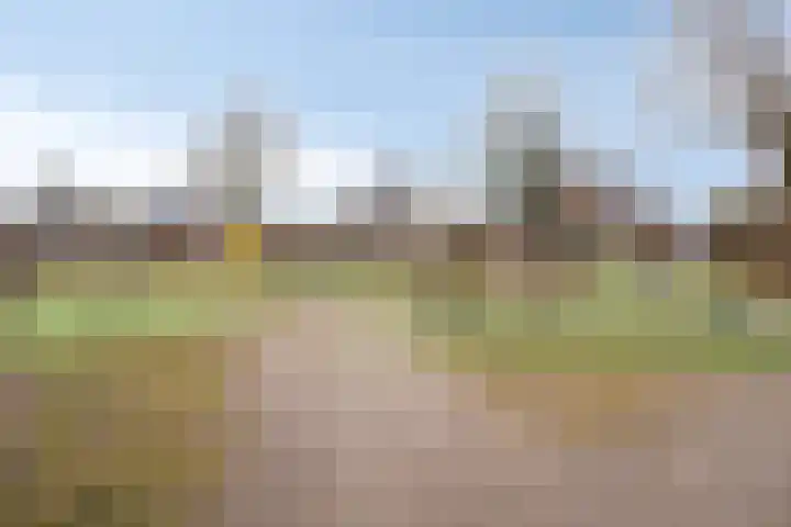 Lakenvelderpad 19 Teteringen thumbnail 42