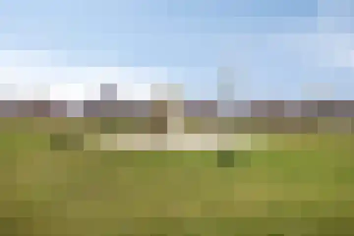 Lakenvelderpad 19 Teteringen thumbnail 43