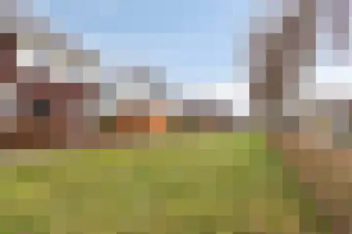 Lakenvelderpad 19 Teteringen thumbnail 47