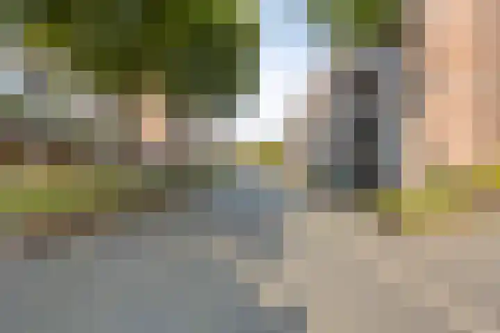 Lakenweversplein 24 A Maastricht thumbnail 31