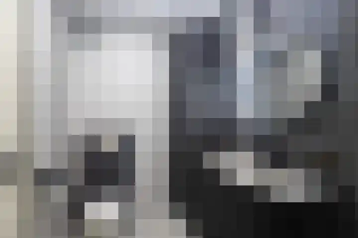 Lakenweversplein 4 Maastricht thumbnail 17