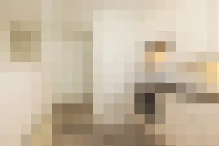 Lakenweversstraat 6 B Maastricht thumbnail 9