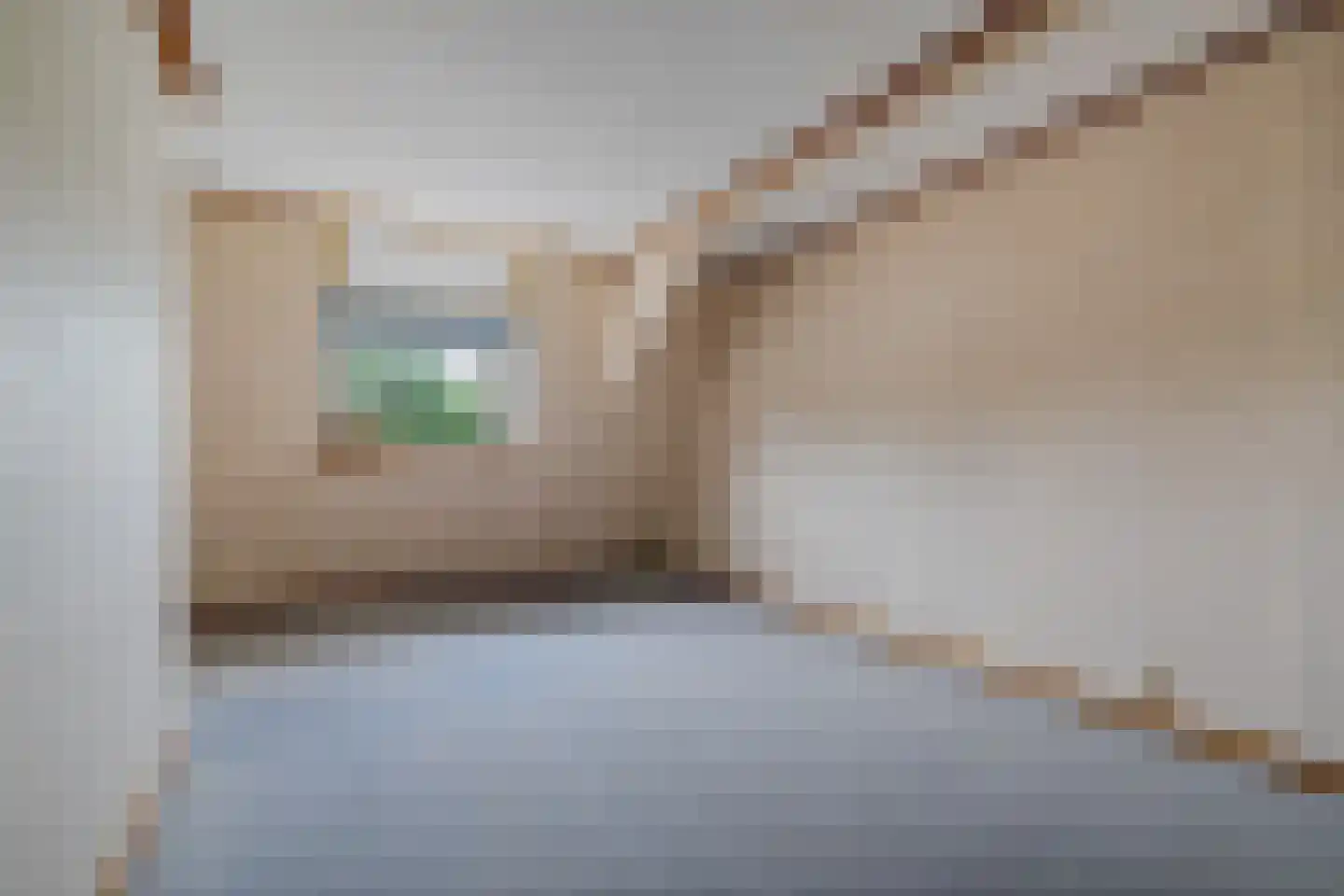Lakerinksweg 1 Overdinkel thumbnail 13