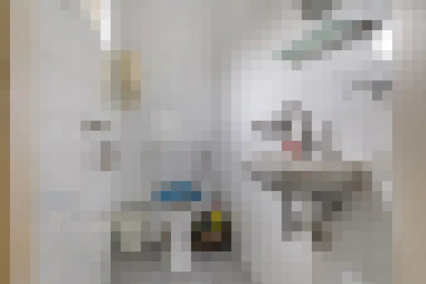 Lakerinksweg 1 Overdinkel thumbnail 22