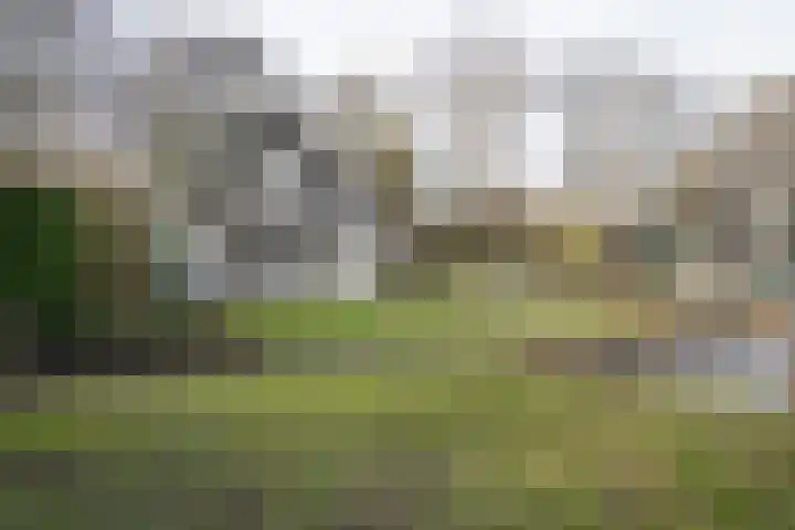 Lakerveld 140 Lexmond thumbnail 38