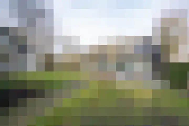 Lakerveld 140 Lexmond thumbnail 41