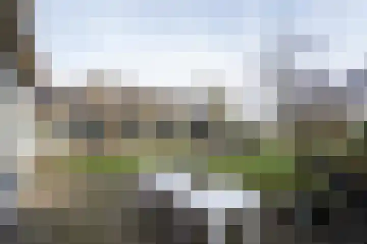 Lakerveld 140 Lexmond thumbnail 42