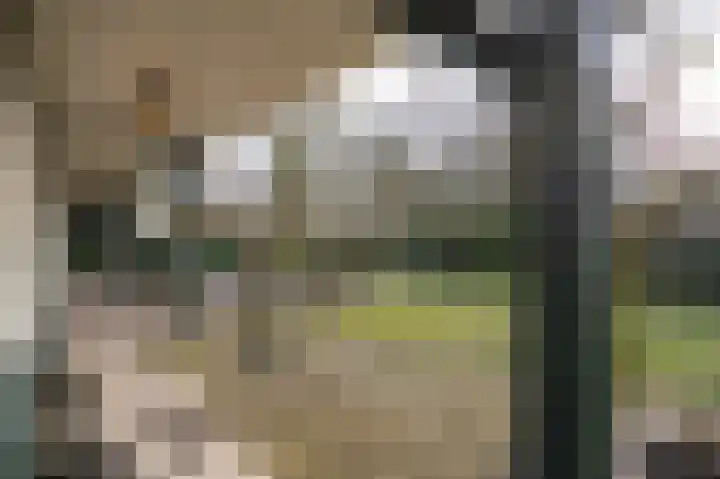 Lakerveld 140 Lexmond thumbnail 43