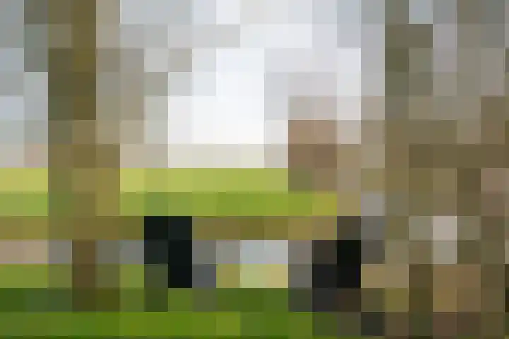 Lakerveld 140 Lexmond thumbnail 5