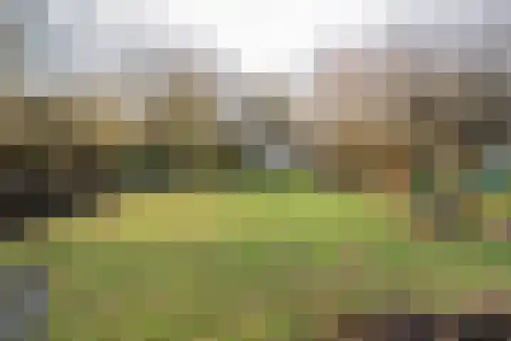 Lakerveld 140 Lexmond thumbnail 51