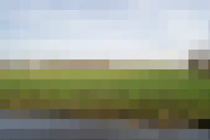 Lakerveld 140 Lexmond thumbnail 53