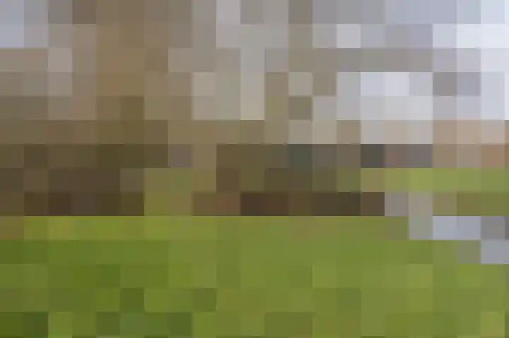 Lakerveld 140 Lexmond thumbnail 54