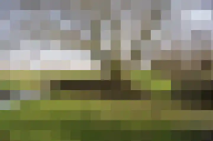 Lakerveld 140 Lexmond thumbnail 55