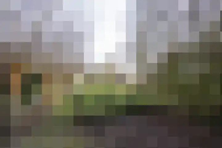 Lakerveld 140 Lexmond thumbnail 57