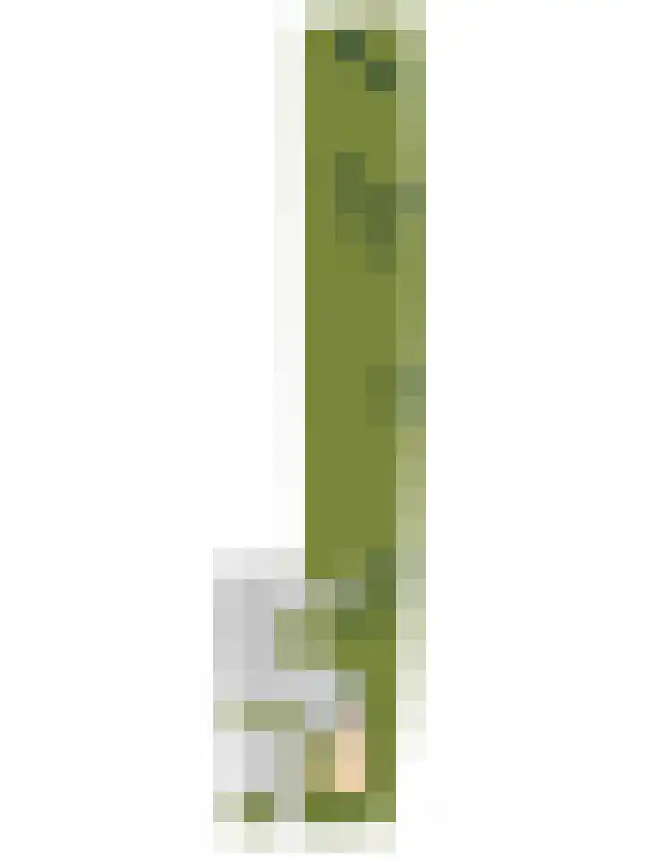 Lakerveld 140 Lexmond thumbnail 68
