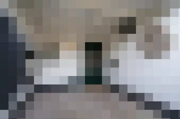 Lakerveld 140 Lexmond thumbnail 7