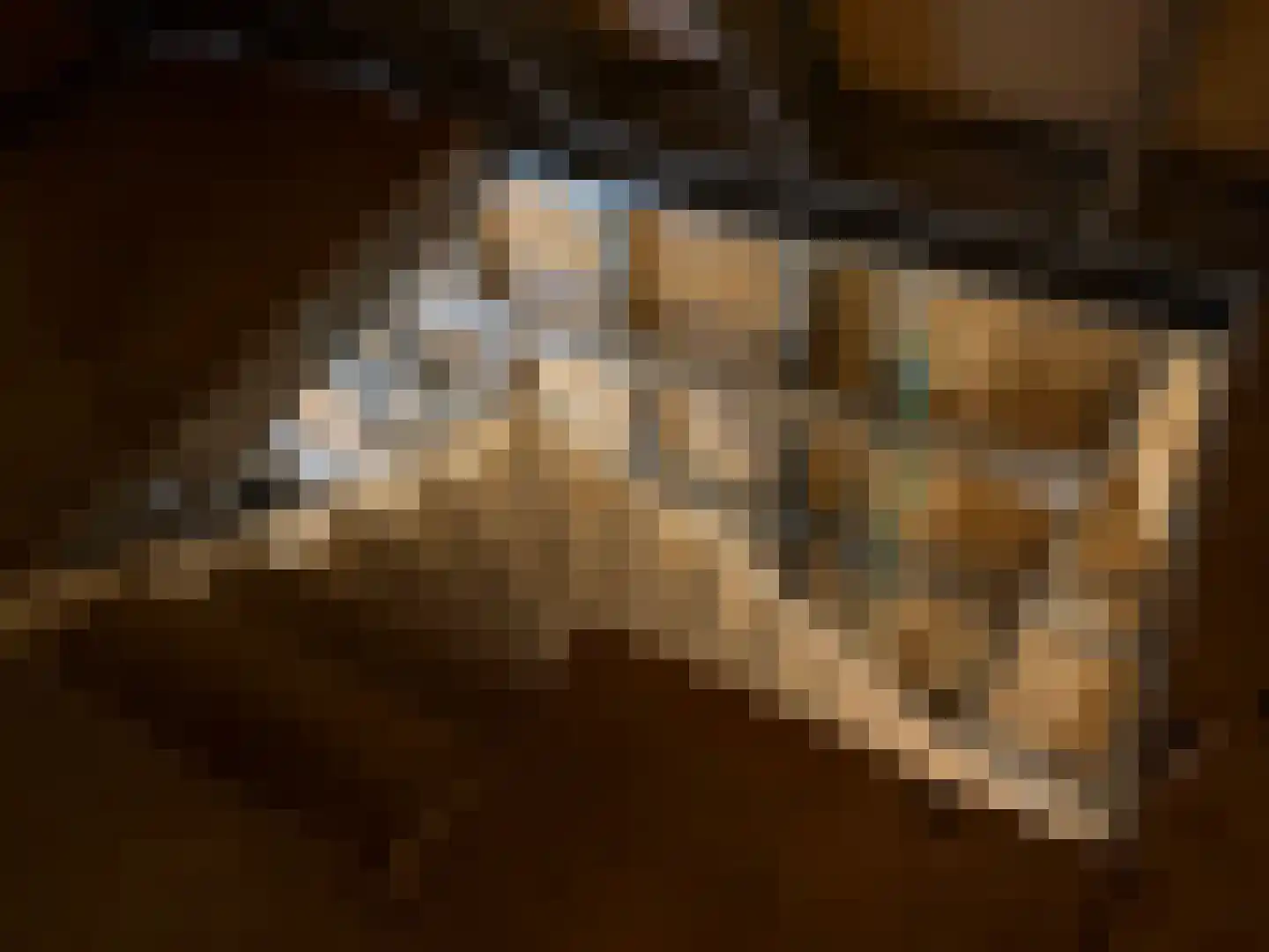 Lakerveld 154 Lexmond thumbnail 12