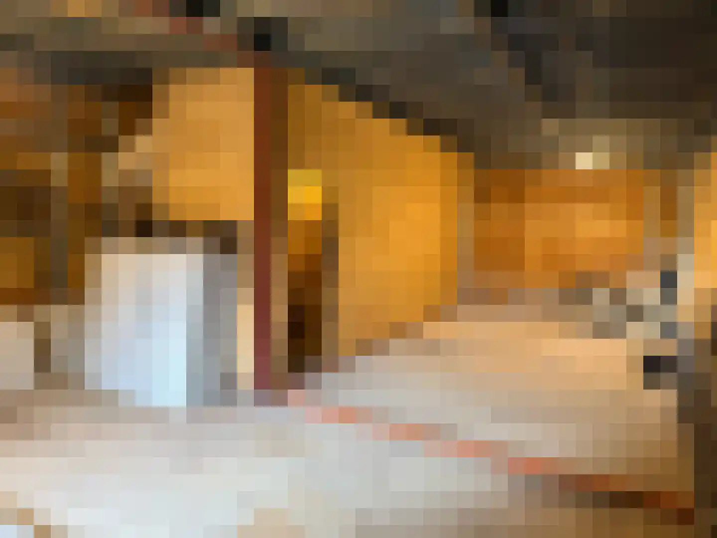 Lakerveld 154 Lexmond thumbnail 8
