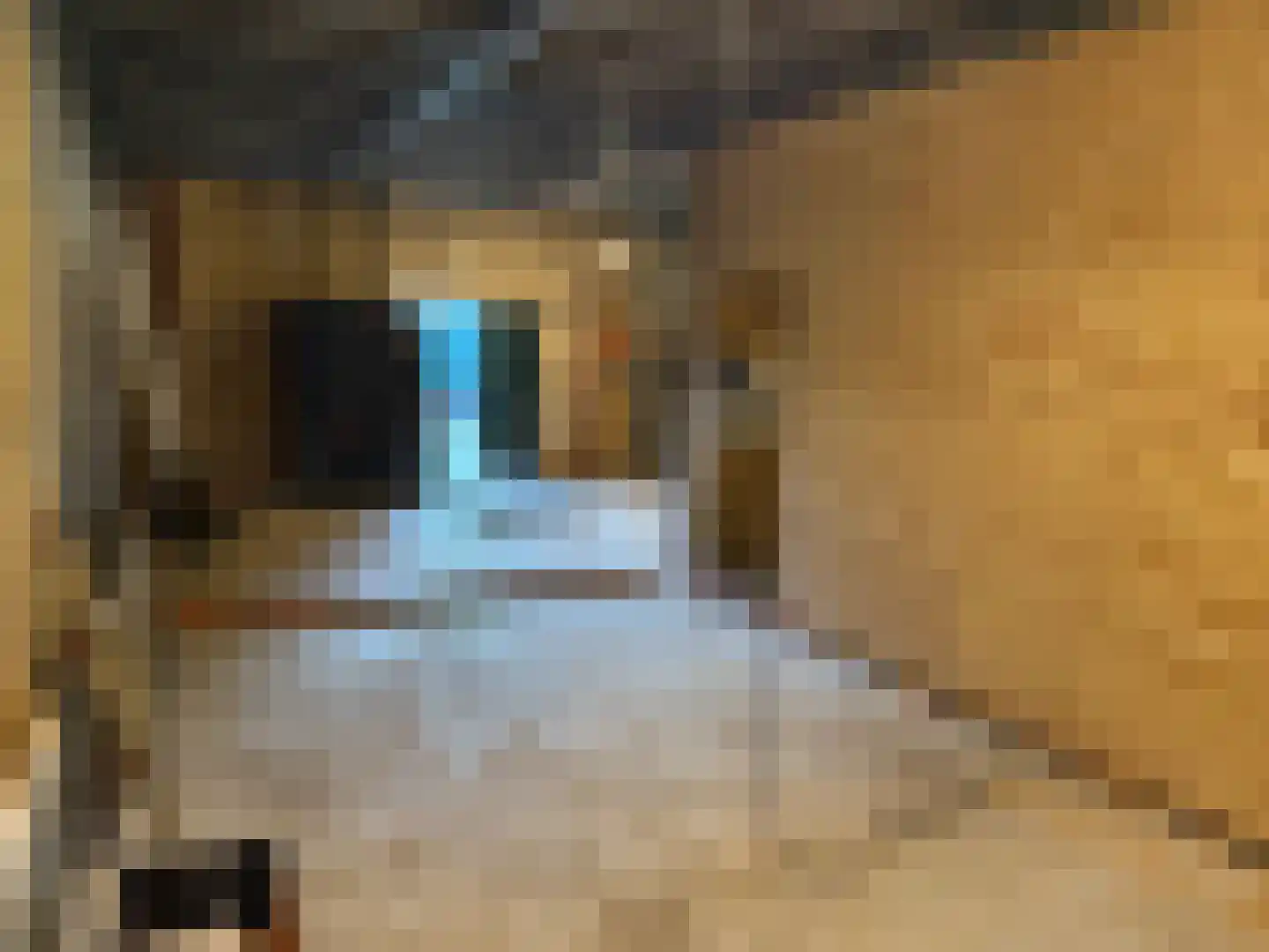 Lakerveld 154 Lexmond thumbnail 9