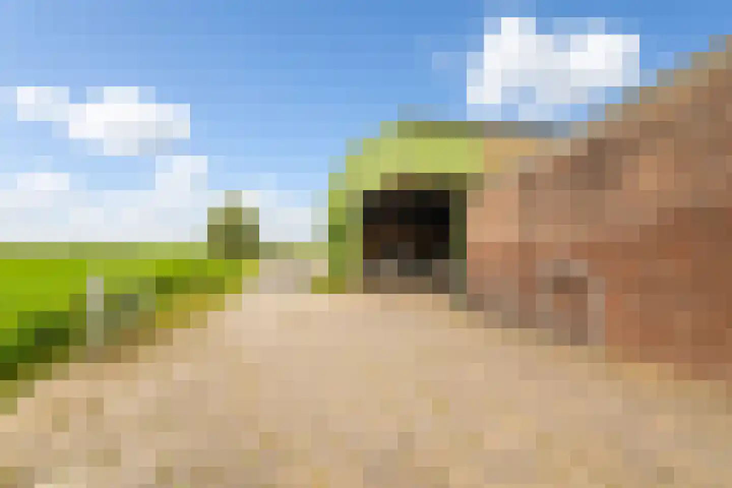 Lakerveld 183 Lexmond thumbnail 10
