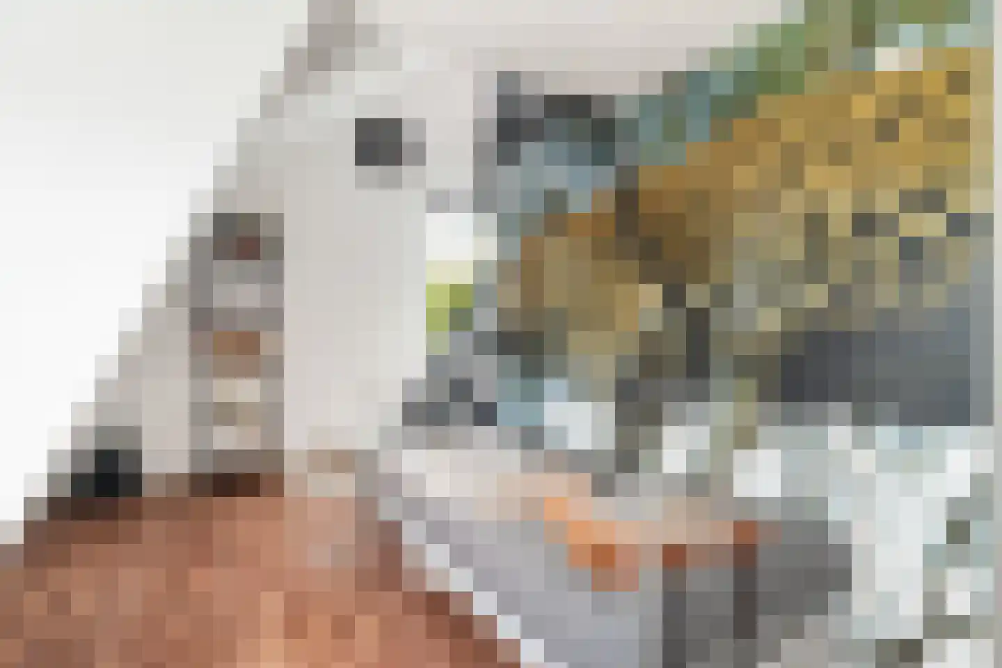 Lakerveld 183 Lexmond thumbnail 37