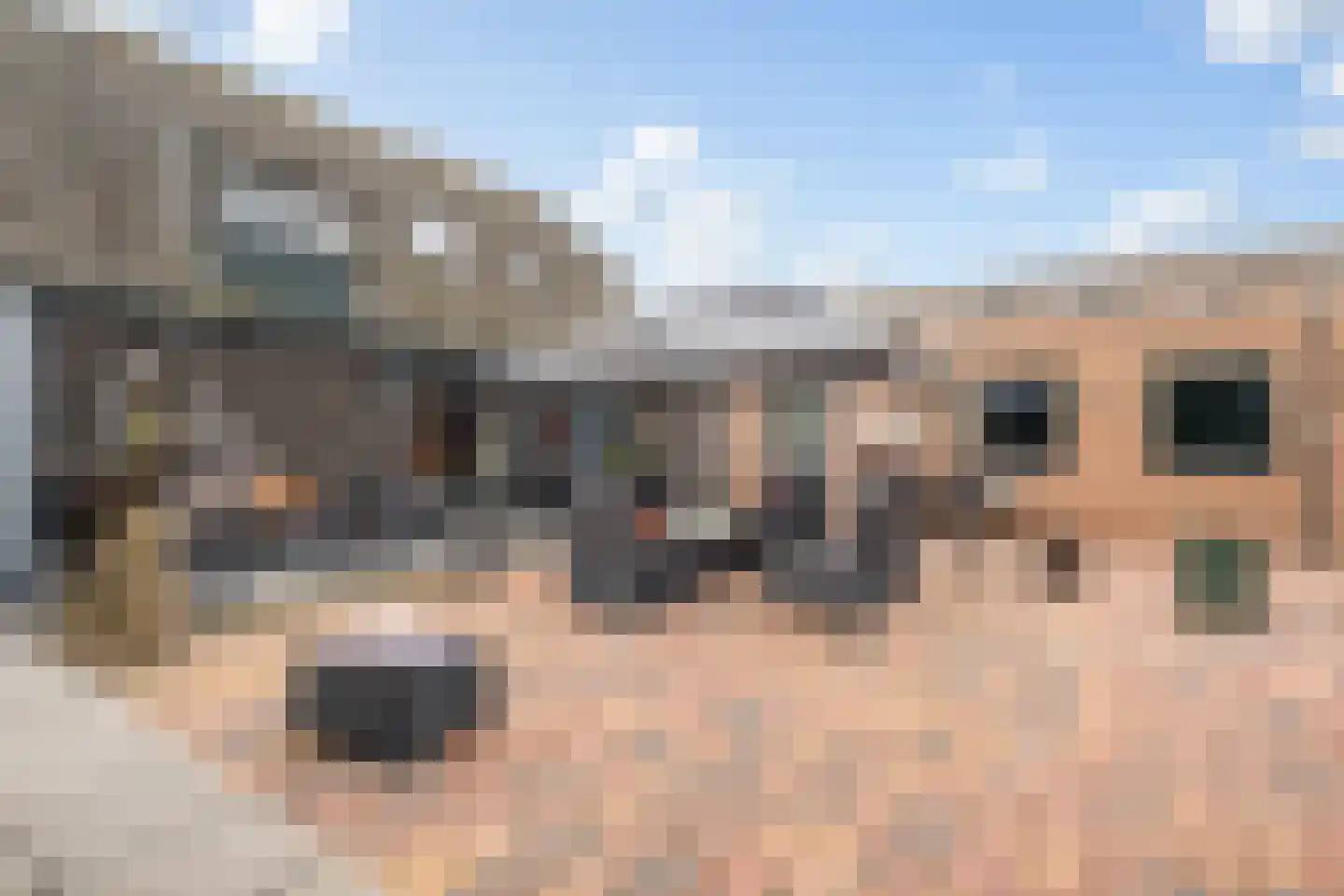 Lakerveld 183 Lexmond thumbnail 43