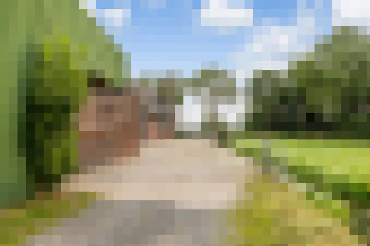 Lakerveld 183 Lexmond thumbnail 66