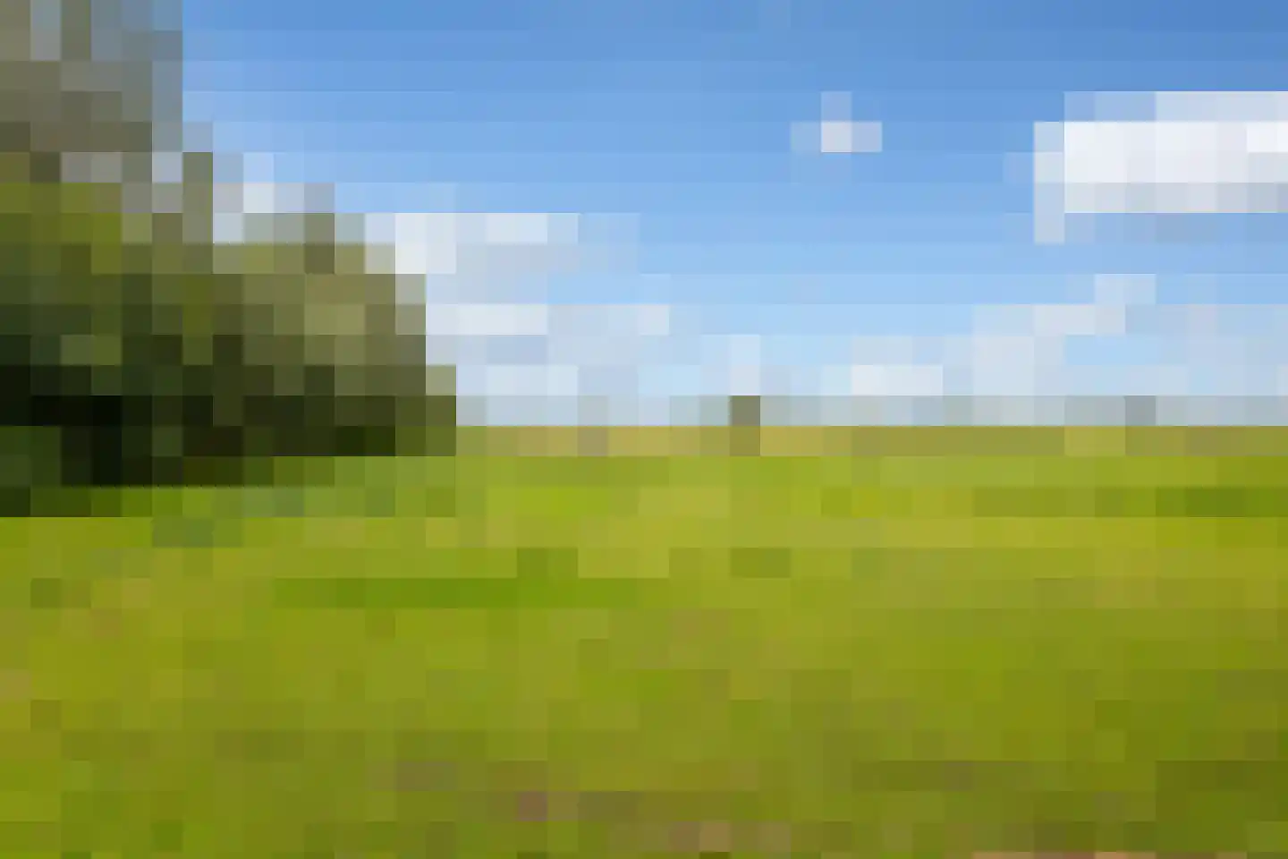Lakerveld 183 Lexmond thumbnail 68